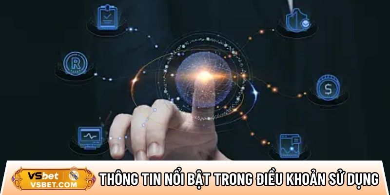 Các thông tin nổi bật có trong điều khoản sử dụng Vsbet