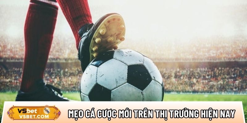 Top các mẹo cá cược mới trên thị trường hiện nay